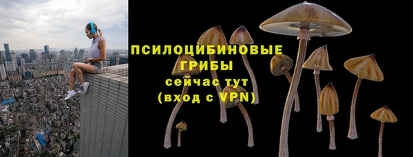 сатива Магадан