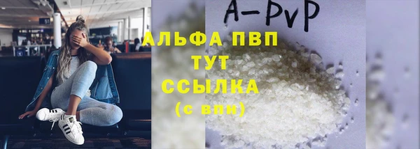 сатива Магадан