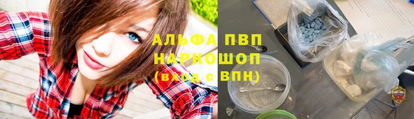 сатива Магадан