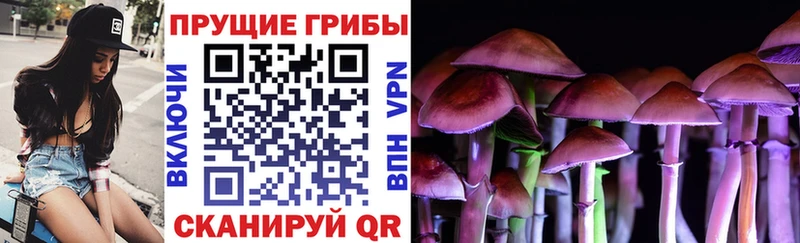 mega tor Новотитаровская Галлюциногенные грибы мухоморы