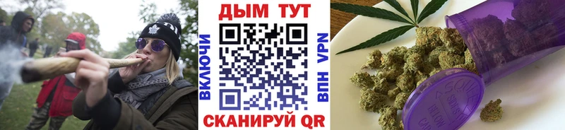 Марихуана гибрид  Новотитаровская 